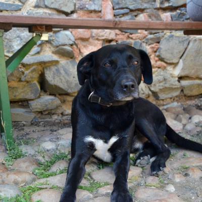 Img 20250630 Wa0089a